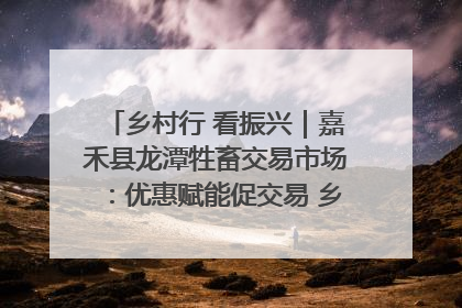乡村行 看振兴｜嘉禾县龙潭牲畜交易市场：优惠赋能促交易 乡村振兴添动能